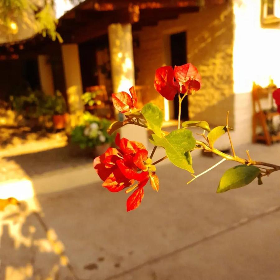 La Montana Bed & Breakfast Cafayate Exterior photo